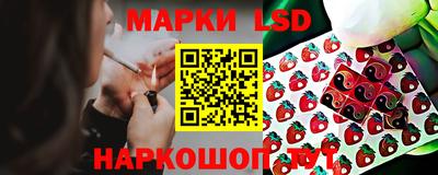 apvp Аргун