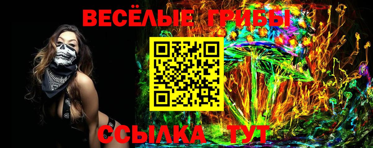 Апшеронск  Псилоцибиновые грибы мицелий  Вход с VPN 